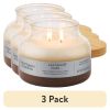 (3 pack)Leather and Musk Scented 2-Wick 18oz Ombre Bell Jar Candle