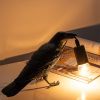 Crow Lamp - Raven Lamp with LED Bulb, Bird lamp, Crow Light Gothic Halloween Decor for Bedside Bedroom Living Room Decor