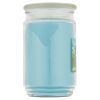 Garden Rain Single-Wick Large Glass Jar Candle, 20 oz