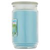 Garden Rain Single-Wick Large Glass Jar Candle, 20 oz