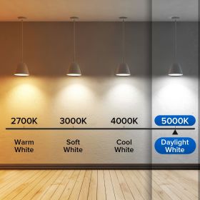 SANSI 60W Equivalent LED Light Bulbs, 22-Year Lifetime,  900 Lumens With Ceramic Technology,  Non-Dimmable, E26 Base, A15 Size, Energy-Efficient (Option: 6pack-5000K)