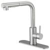 2 Sprayer Single Hole Single-Handle Pull Out Kitchen Faucet 360��Swivel Spout