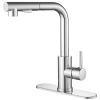 2 Sprayer Single Hole Single-Handle Pull Out Kitchen Faucet 360��Swivel Spout